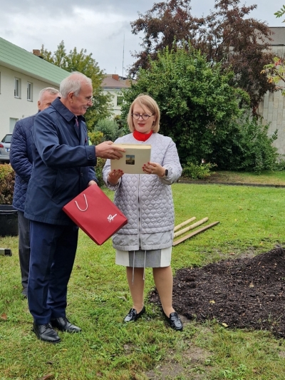 Koku stādīšana Jelgavā