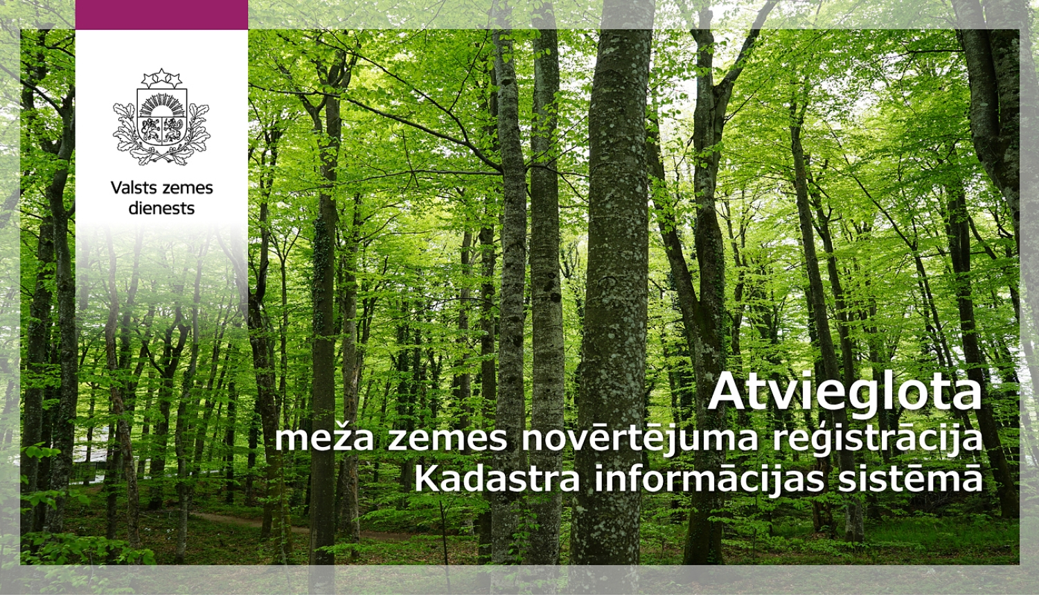 Zaļš koku mežs fonā, baltiem burtiem teksts "Atvieglota meža zemes novērtējuma reģistrācija Kadastra informācijas sistēmā"