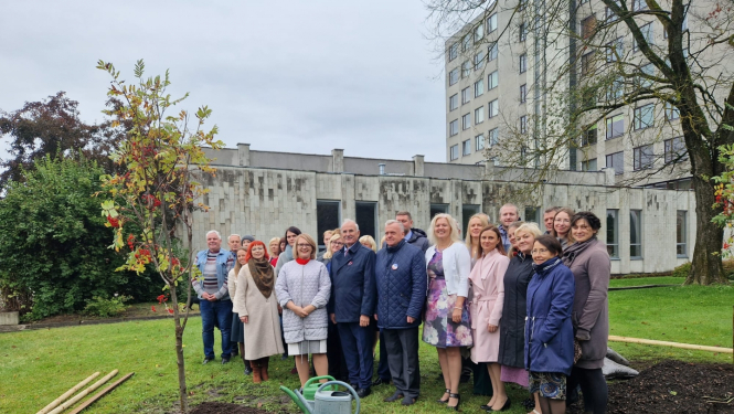 Koku stādīšana Jelgavā