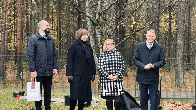 Koka stādīšana Mežaparkā