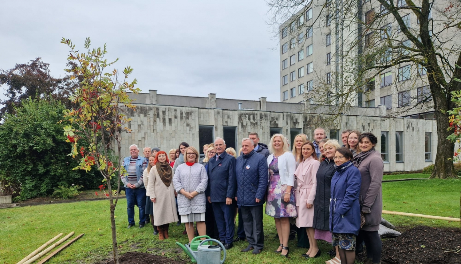 Koku stādīšana Jelgavā