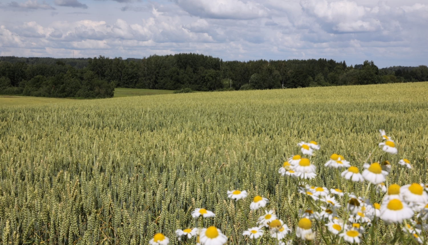 Evijas Trifanovas (LETA) foto